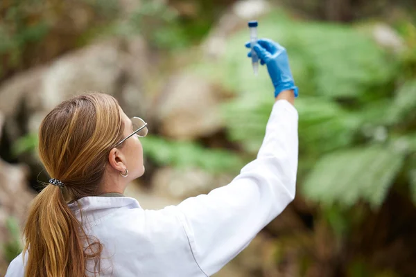 Ciencia Naturaleza Mujer Con Muestra Para Inspección Estudio Ambiental Ecosistémico —  Fotos de Stock