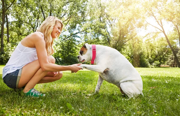 所有伟大的友谊都是从握手开始的 一个年轻的女人在公园里和她的狗呆在一起 — 图库照片