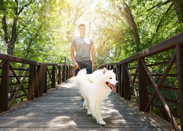 Покладіть Найкращу Лапу Вперед Красивий Молодий Чоловік Гуляє Своєю Собакою — стокове фото