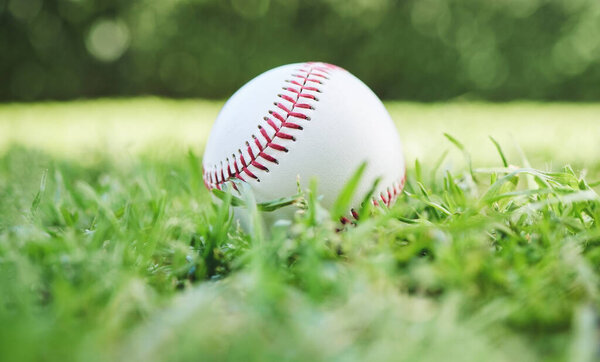 Бейсбол, спорт и отдых с мячом на траве, крупным планом в ожидании игры или соревнования. Земля, фитнес и тренировки с софтболом на газоне, поле или трава для занятий спортом на открытом воздухе.