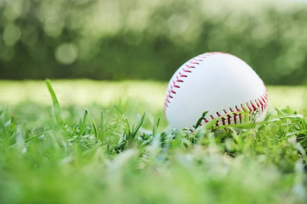 Baseball, sports and fitness with a ball on the grass, closeup waiting for a game or competition. Earth, recreation and training with a softball on a lawn, pitch or grass for sport activity outdoor.