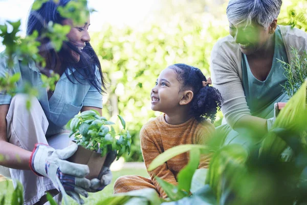 春の間 成長や持続可能性のために屋外で一緒に女性 母親と子供の園芸 環境に優しい造園のための夏の庭で家族の絆で植物 地球の日 — ストック写真