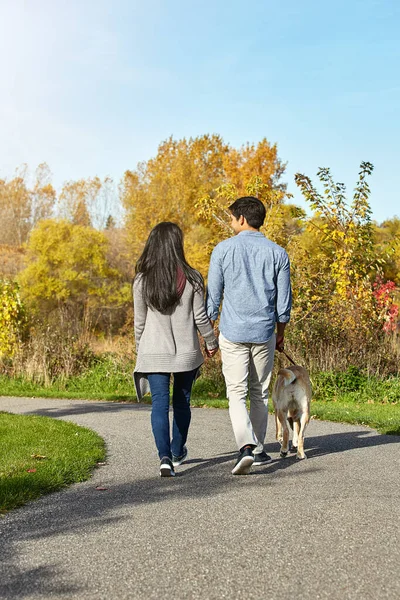 Taking our dog on an adventure. a loving young couple taking their dog for a walk through the park