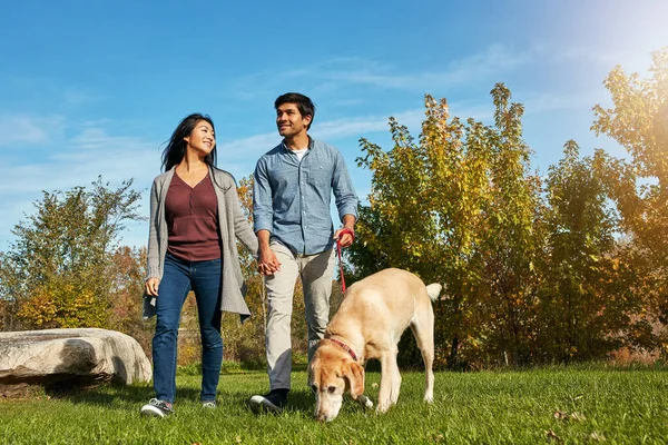 stock image Its a gorgeous day to be out walking the dog. a loving young couple taking their dog for a walk through the park