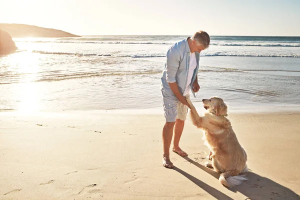 练习一些基本的服从 一个成熟的男人带着他的狗在海滩上散步 — 图库照片