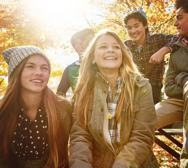 和朋友一起做秋天的回忆 一群年轻的朋友一起在公园里享受一天的时光 — 图库照片