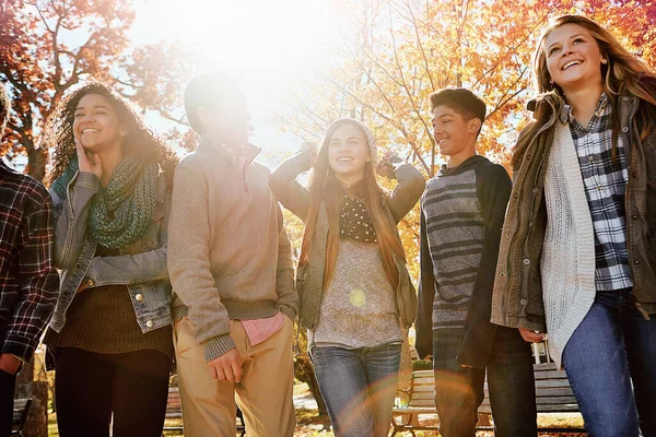 stock image Friends make the world a better place. a group of teenage friends enjoying an autumn day outside together