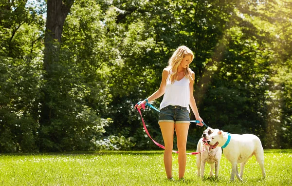Son Verdaderas Compañeras Una Joven Con Sus Dos Perros Parque — Foto de Stock