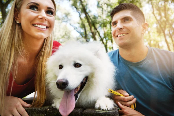 他们都是爱狗的人 一对年轻貌美的夫妇在公园遛狗 — 图库照片