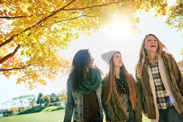 Best Thing Life True Friendship Group Young Friends Enjoying Day — Stock Photo, Image