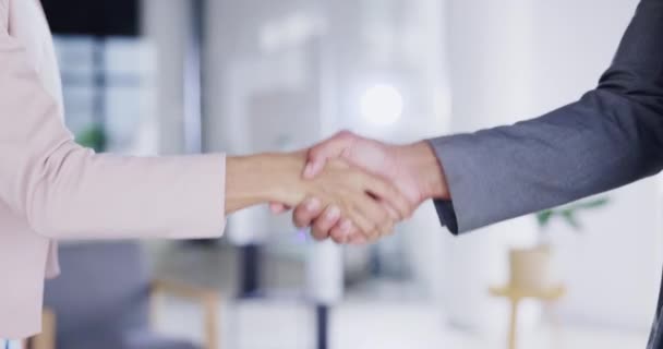 为商业交易 协议或介绍而在办公室进行合作 协作和握手 握手祝贺 机会或B2B 雇用和欢迎加入公司 — 图库视频影像