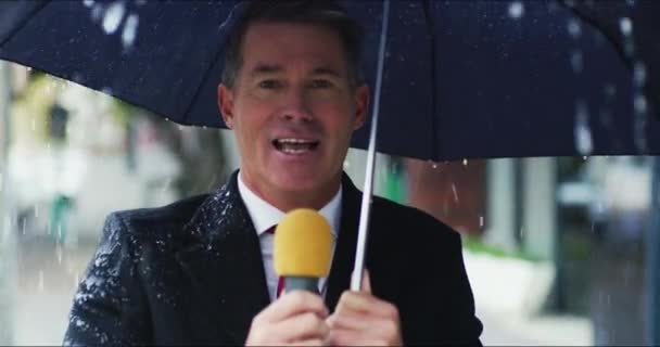 雨和雨伞与记者男子在城市室外现场直播的一个广播活动 在电视广播中与一名男性记者对话的肖像 话筒和媒体 — 图库视频影像