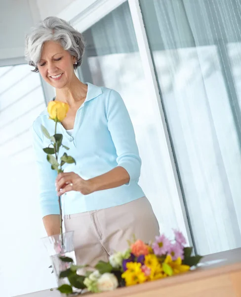 Троянда Кожного Випадку Старша Жінка Насолоджується Квіткою Вдома — стокове фото