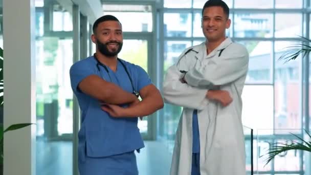 보험에 의사와 간호사의 초상화와 전문적 협동을 병원에서 일하는 근로자들 — 비디오