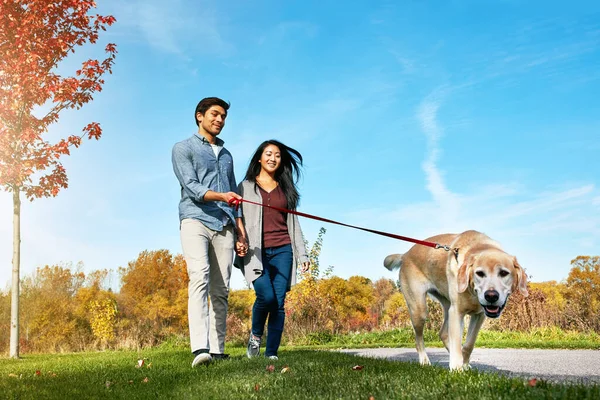 与狗同行的旅程更甜蜜 一对可爱的年轻夫妇带着他们的狗在公园里散步 — 图库照片