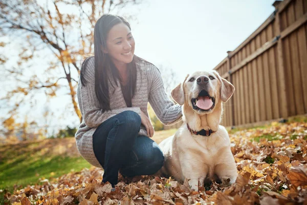 没什么大不了的 他是史上最棒的狗 秋天的一天 一位年轻貌美的女士在花园里和她的狗玩耍 — 图库照片