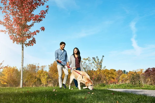 快乐就是和你的狗在公园里散步 一对可爱的年轻夫妇带着他们的狗在公园里散步 — 图库照片
