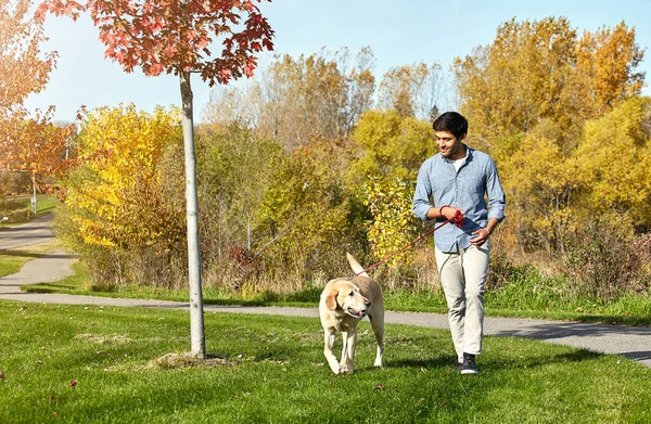 我比我的狗更喜欢散步 一个年轻人带着他的狗在公园里散步 — 图库照片