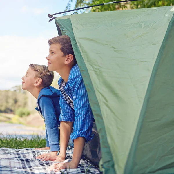 Les Encanta Acampar Dos Hermanos Jóvenes Saliendo Tienda Campaña —  Fotos de Stock