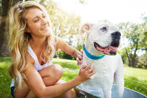 没有什么比宠物狗的爱更珍贵的了 一个夏天在外面给宠物狗洗澡的女人 — 图库照片