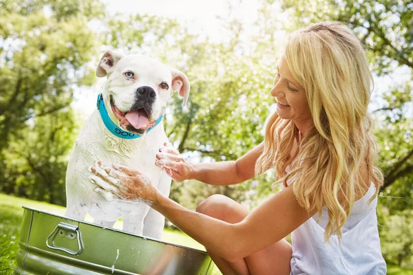 有时候正是这些小事塑造了生活中的关系 一个夏天在外面给宠物狗洗澡的女人 — 图库照片