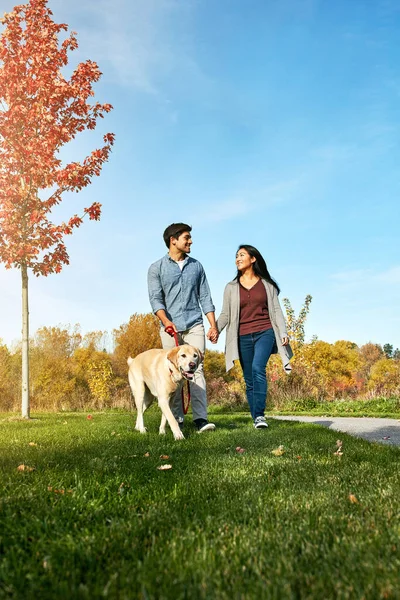 狗是一个真正的小鸡磁铁 一对可爱的年轻夫妇带着他们的狗在公园里散步 — 图库照片