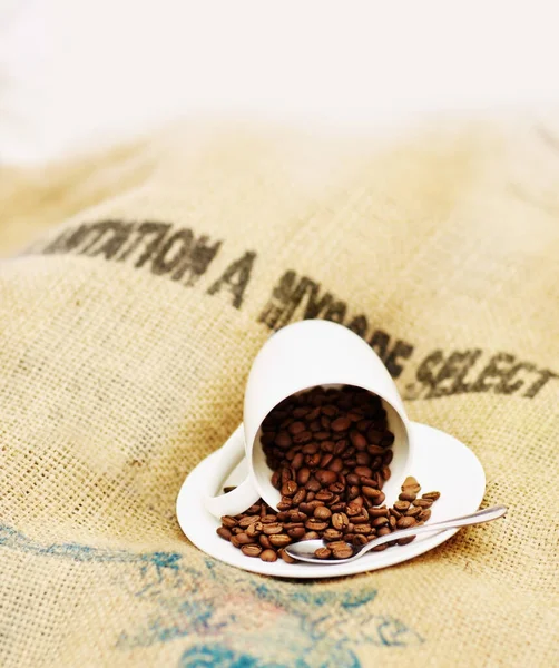 Coffee cup, roasted beans and cafe industry or shop with quality product on sack for marketing. Texture, abstract or background with brown grain for selling drink, espresso or caffeine ingredient.