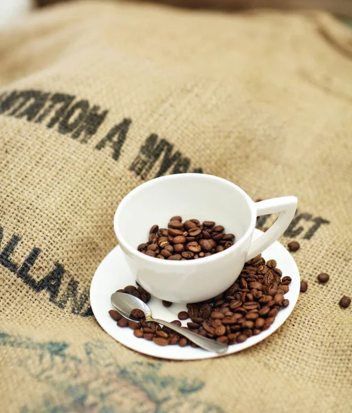 Roasted coffee beans, cup and cafe industry with quality product on sack for marketing and advertising. Texture, abstract or background with brown grain as drink, espresso or caffeine ingredient.