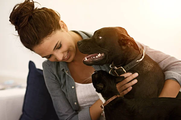 Woman, happy dog and cat together on sofa or animals, smiling owner and physical affection, love and hugs. Girl, canine and feline pets and building quality relationship with care, play or hug.