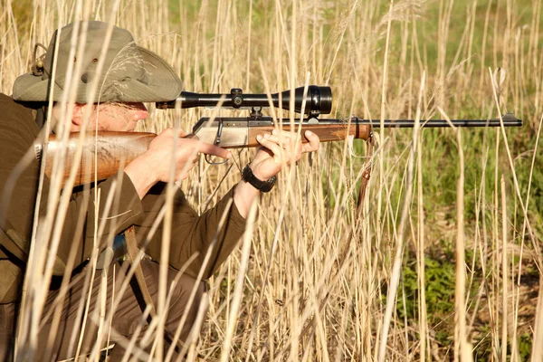 Natuur Wilde Dieren Mannelijke Jager Met Een Jachtgeweer Terwijl Camouflage — Stockfoto