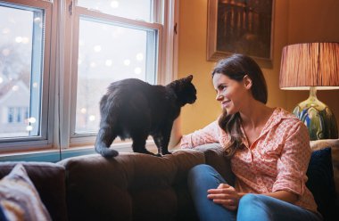 Kediler bir evi yuvaya çevirir. Çekici bir genç kadın evdeki kanepede dinleniyor ve kedisiyle bağ kuruyor.