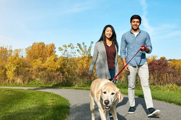 说到散步时间 每个人都很快乐 一对可爱的年轻夫妇带着他们的狗在公园里散步 — 图库照片