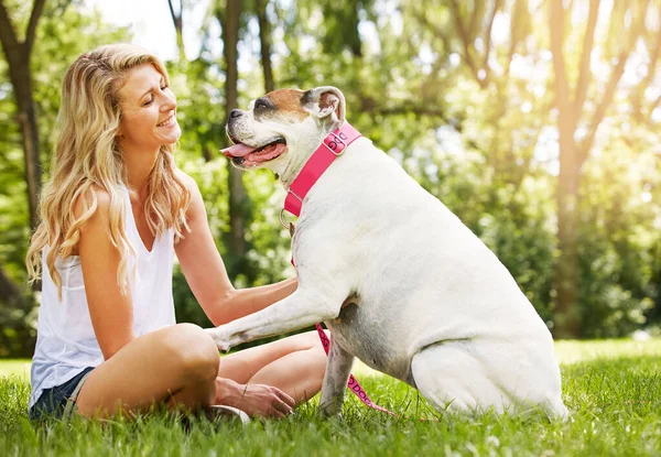 最好的治疗师有四条腿和一条尾巴 一个年轻的女人在公园里和她的狗呆在一起 — 图库照片