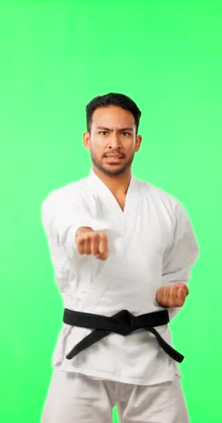 Portrait Karate Shouting Man Green Screen Background Studio Martial Arts — Stock Video
