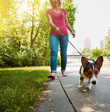Sağlıklı ve mutlu bir evcil hayvan için doğru adımları atıyorsun. Parkta köpeğini gezdiren çekici bir genç kadın.