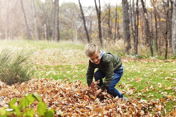 Всегда Готов Дню Игры Очаровательный Маленький Мальчик Играющий Осенними Листьями — стоковое фото