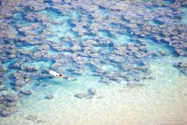 Ikon Fotó Trópusi Álmok Egy Kék Lagúna — Stock Fotó
