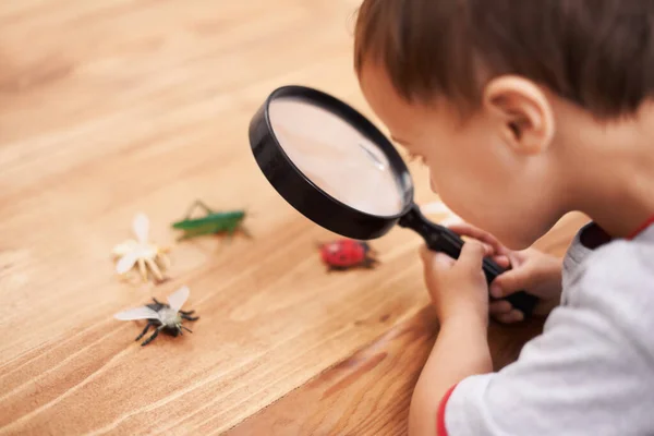 Inspekterar Några Nyfikna Varelser Ung Pojke Inspekterar Sina Leksaker Med — Stockfoto