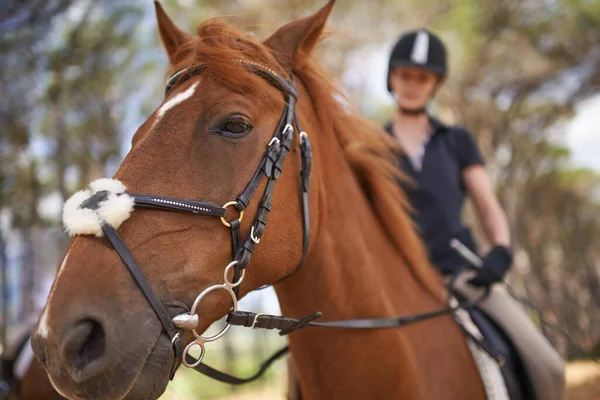 馬に乗って自然を体験する 栗の馬に乗りに行く若い女性 — ストック写真