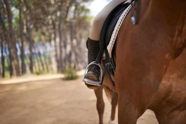 Biniciliğin Özgürlüğü Atının Üzerindeki Bir Binicinin Kırpılmış Görüntüsü — Stok fotoğraf