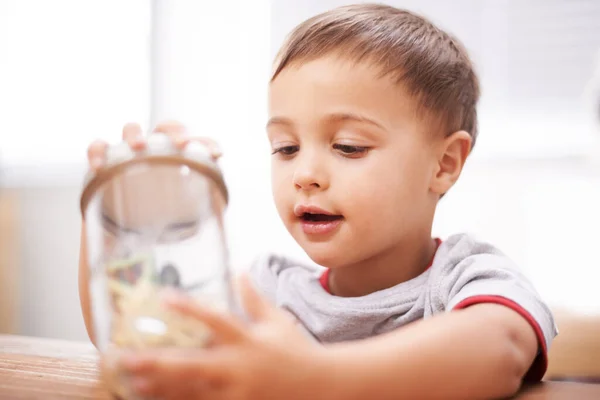 Inspecting Nature Cute Young Boy Jar Full Toys — Stock Photo, Image
