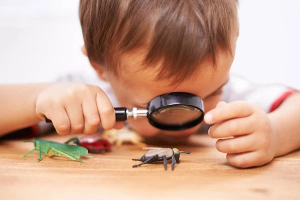 Осматриваю Любопытных Существ Мальчик Осматривает Свои Игрушки Увеличительным Стеклом — стоковое фото