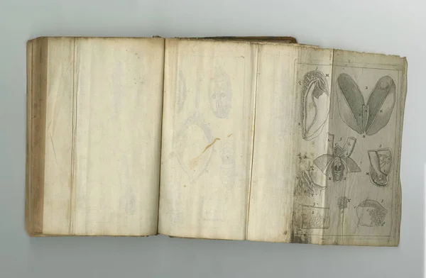 Science Rustique Vieux Livre Médical Avec Ses Pages Exposées — Photo