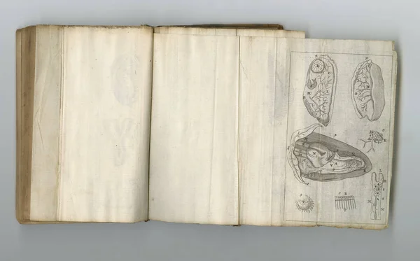 Journal Antique Médecine Vieux Livre Médical Avec Ses Pages Exposées — Photo