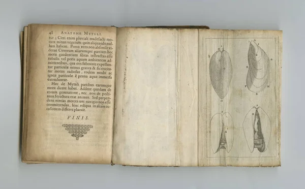 Faydalı Bir Tıp Kitabı Sayfaları Sergilenen Eski Bir Tıp Kitabı — Stok fotoğraf