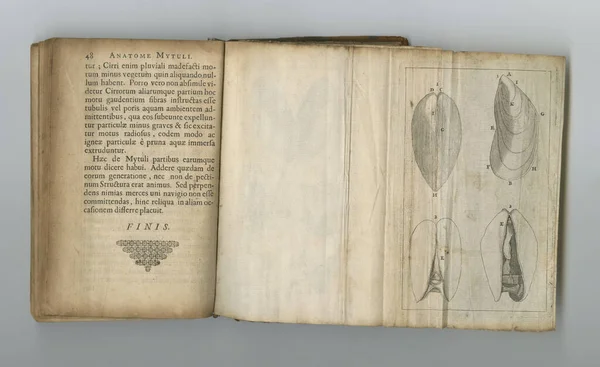 Livre Des Collectionneurs Vieux Livre Médical Avec Ses Pages Exposées — Photo