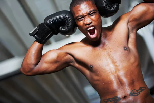 Поднимает Самообладание Африкано Американский Боксер Кулаками Голове Готовящийся Драке — стоковое фото