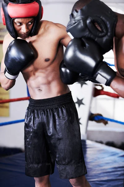 Helping One Another Get Next Level Two Boxers Wearing Protective — Stock Photo, Image