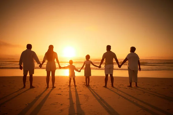 Rear view of multi generation family silhouetted on the beach. Carefree family with two children, two parents and grandparents holding hands and watching the sunset at the beach.