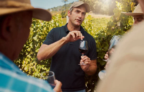 農場で赤ワインのワイングラスを保持しながら 農家の話や友人の多様なグループに説明します 夏の間 ブドウ畑で試飲のためにアルコールと一緒に立っている人々 週末のワインの味 — ストック写真